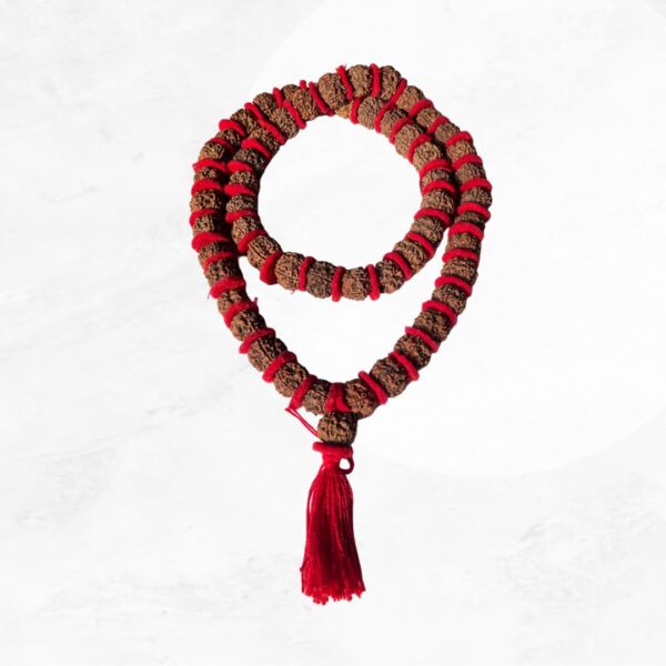 Original panchmukhi Rudraksha Kantha