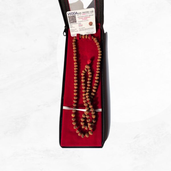 10 Mukhi Lab Tested Rudraksha mala original/ certified Rudraksha