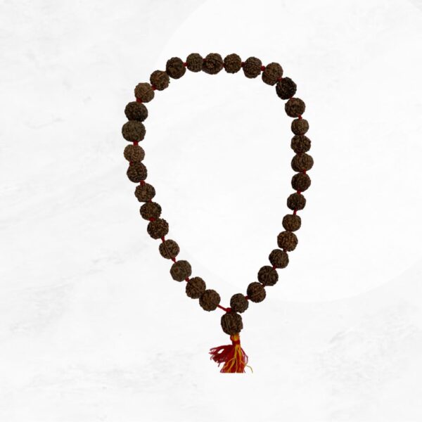 32 big beads Rudraksha mala for hands/Jaap