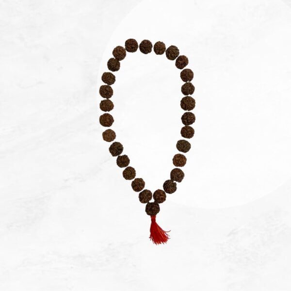 27 big beads rudraksha mala original