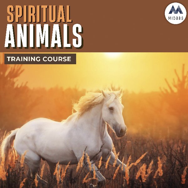 Spiritual Animal Course